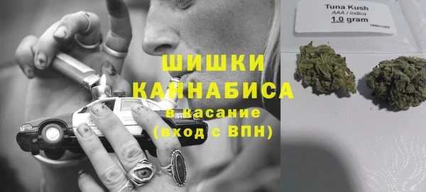 PSILOCYBIN Козельск
