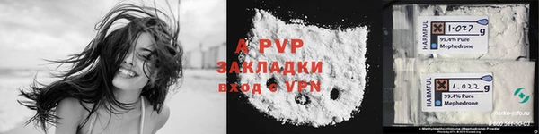 PSILOCYBIN Козельск