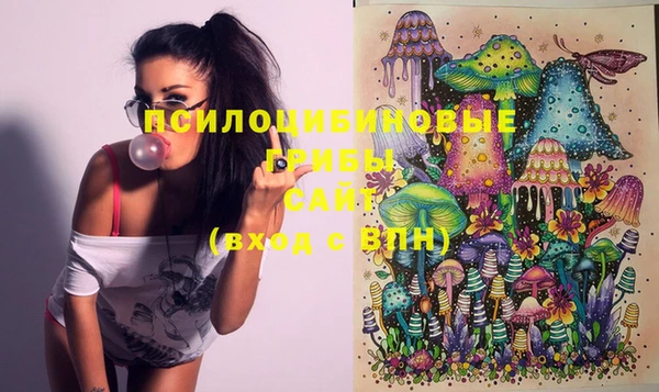 PSILOCYBIN Козельск